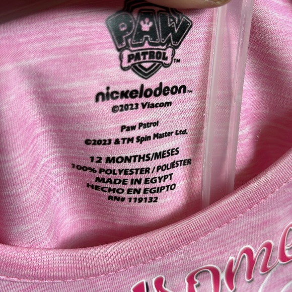 NWT Nickelodeon Paw Patrol Shorts Set Pink SS Tee Green Shorts 12M Pawsome Dogs - Picture 14 of 16